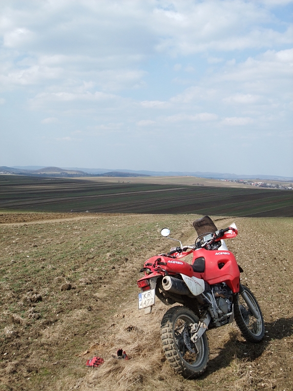 Obraz 185